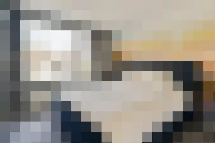 Ebro 138 Uithoorn thumbnail 24