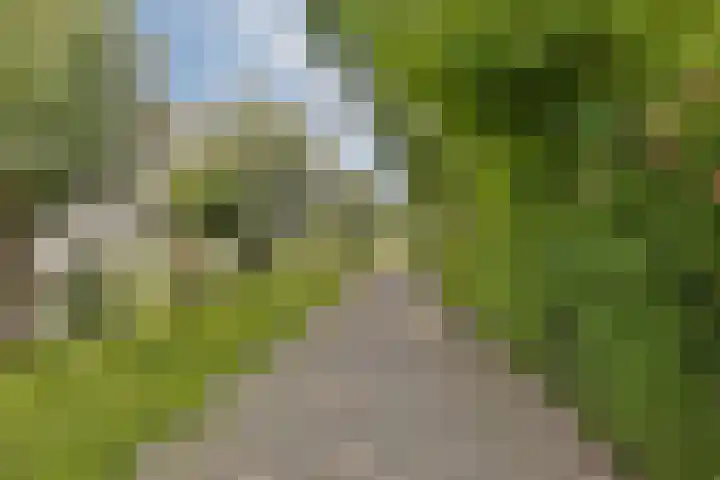 Ebro 138 Uithoorn thumbnail 37