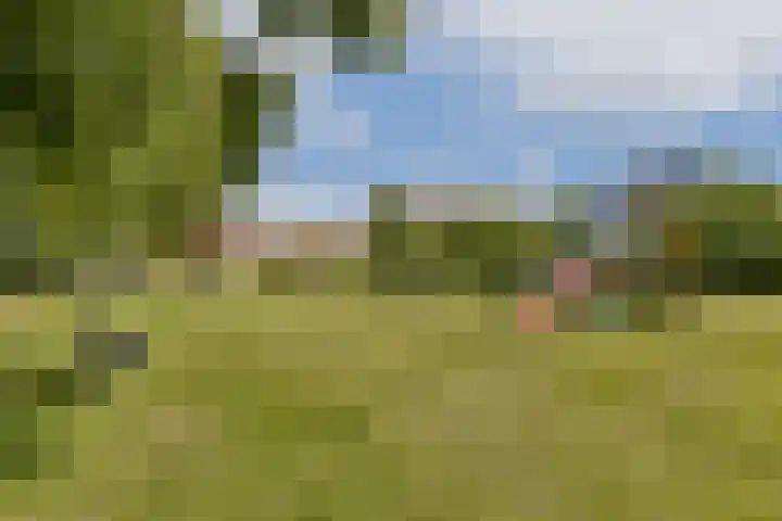 Ebro 138 Uithoorn thumbnail 38