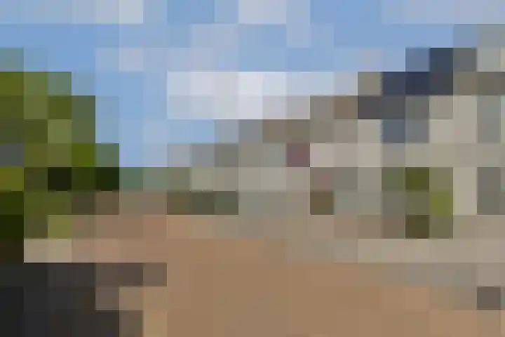Ebro 138 Uithoorn thumbnail 8