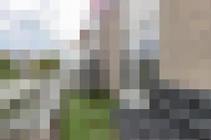 Ebro 62 Uithoorn thumbnail 20