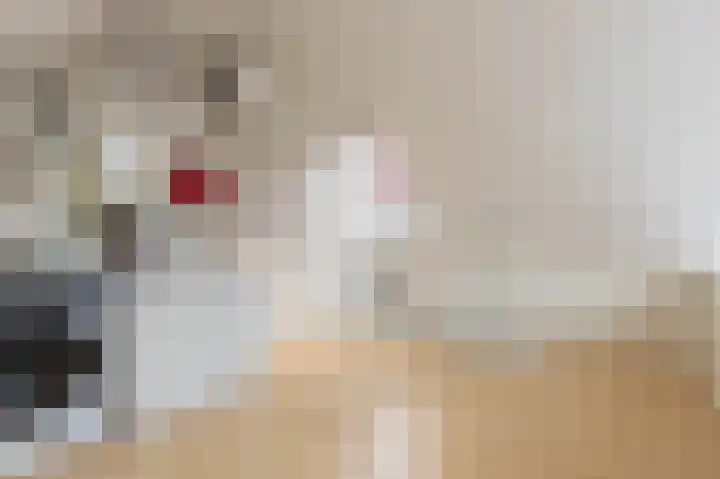 Ebro 62 Uithoorn thumbnail 28