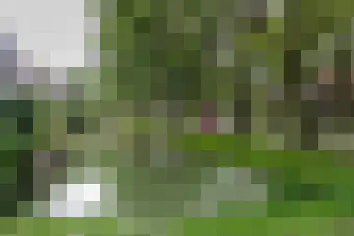 Ebro 62 Uithoorn thumbnail 33