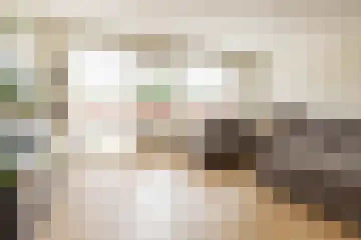 Ebro 62 Uithoorn thumbnail 7