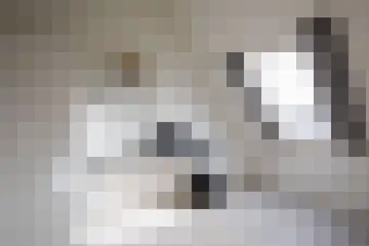 Ebstroom 10 Katwijk thumbnail 20