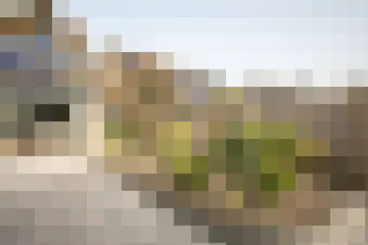 Ebstroom 10 Katwijk thumbnail 23