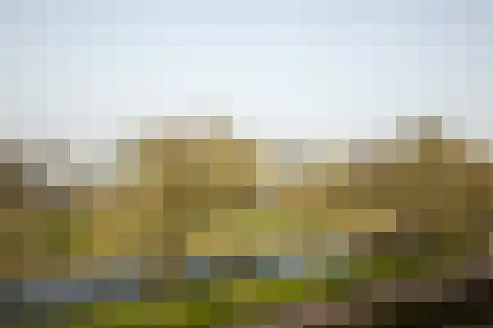 Ebstroom 10 Katwijk thumbnail 4