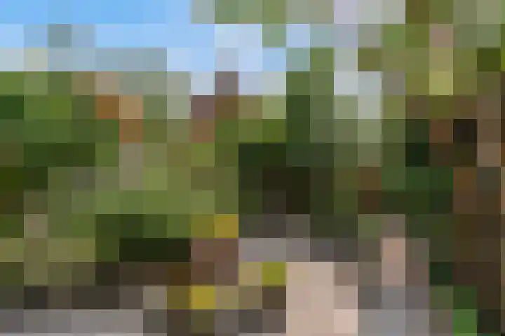 Ebstroom 32 Hellevoetsluis thumbnail 25