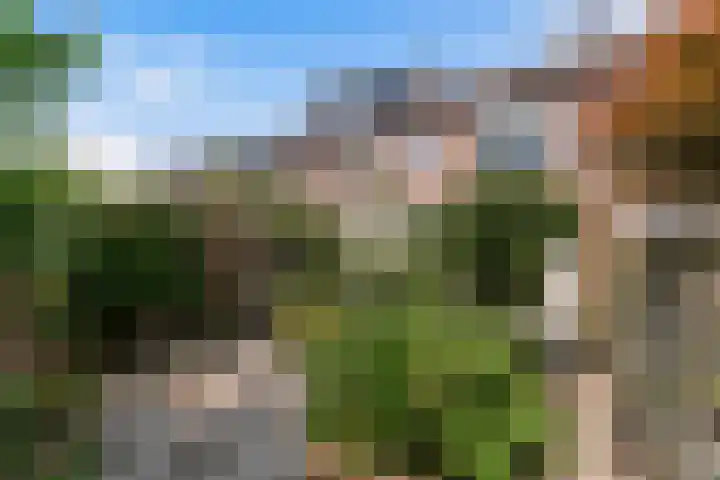 Ebstroom 32 Hellevoetsluis thumbnail 26