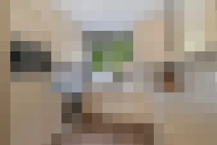 Ebstroom 32 Hellevoetsluis thumbnail 4