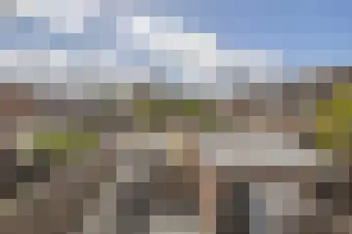 Ebstroom 48 Hellevoetsluis thumbnail 41