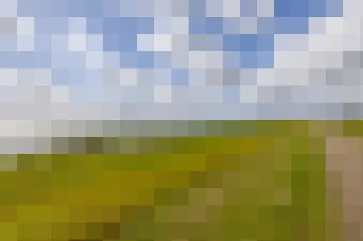 Ebstroom 48 Hellevoetsluis thumbnail 43