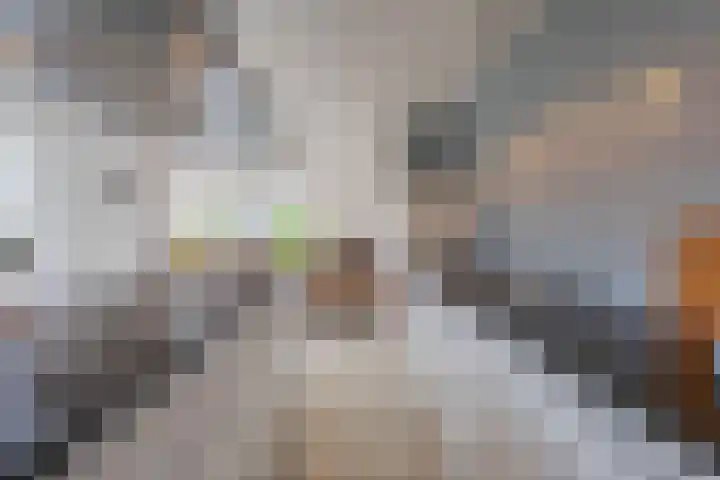 Echteldse Singel 33 Lienden thumbnail 25