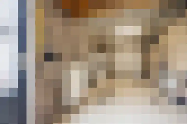 Echteldse Singel 33 Lienden thumbnail 26