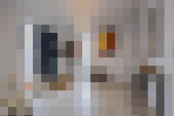 Echteldse Singel 33 Lienden thumbnail 28