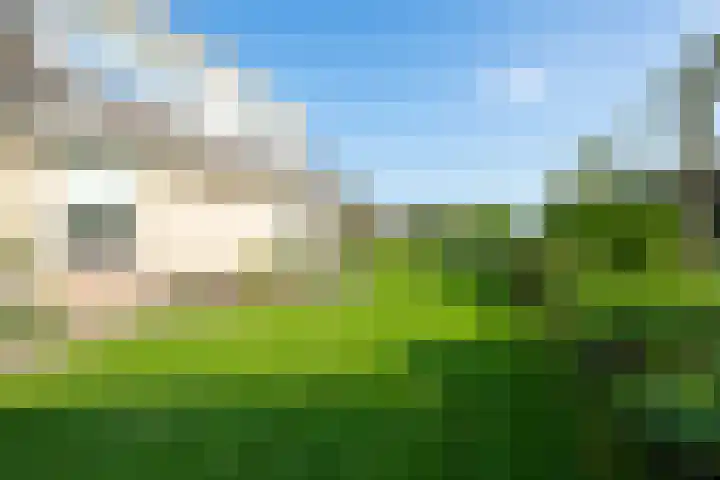 Echteldse Singel 33 Lienden thumbnail 49