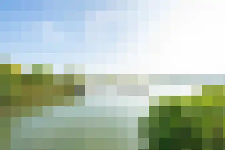 Echteldse Singel 33 Lienden thumbnail 53