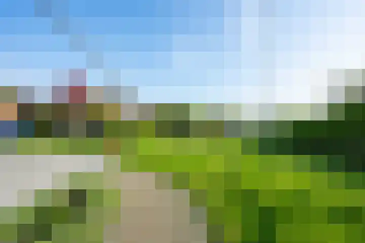 Echteldse Singel 33 Lienden thumbnail 56