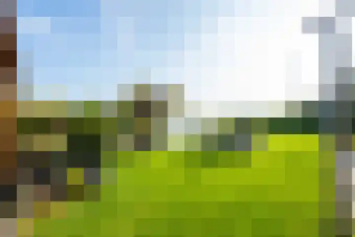 Echteldse Singel 33 Lienden thumbnail 58