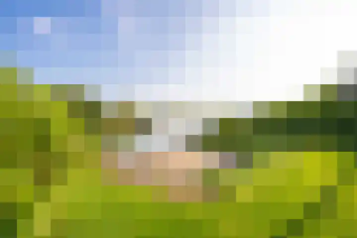 Echteldse Singel 33 Lienden thumbnail 61