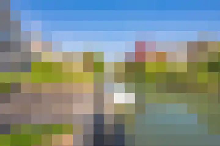 Echteldse Singel 33 Lienden thumbnail 62