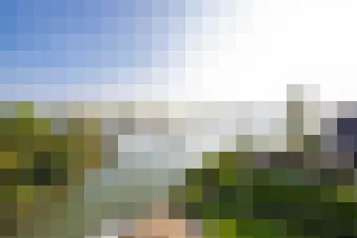 Echteldse Singel 33 Lienden thumbnail 67