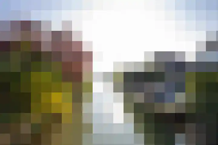 Echteldse Singel 33 Lienden thumbnail 70