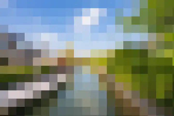 Echteldse Singel 33 Lienden thumbnail 71