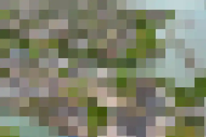Echteldse Singel 33 Lienden thumbnail 73