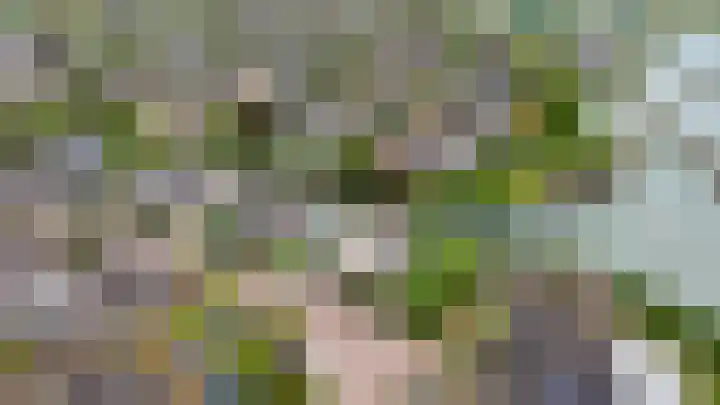 Echteldse Singel 33 Lienden thumbnail 88
