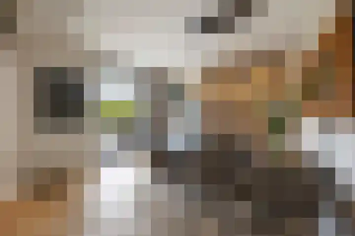 Echterstraat 34 Echt thumbnail 28