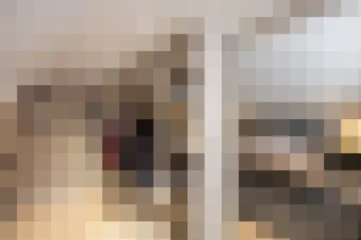 Echterstraat 34 Echt thumbnail 36