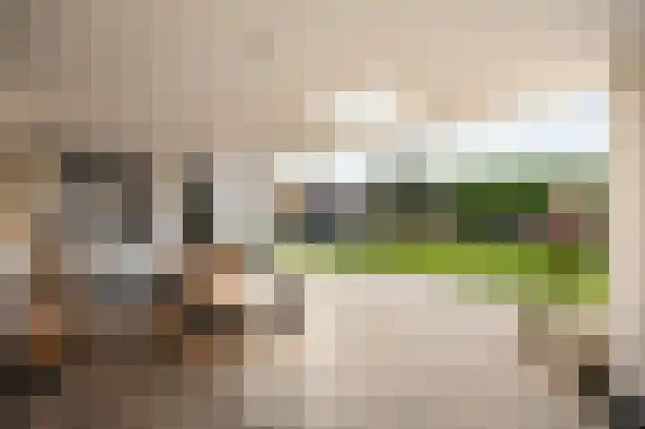 Echterstraat 34 Echt thumbnail 4