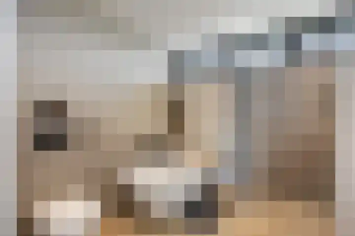 Echterstraat 34 Echt thumbnail 42