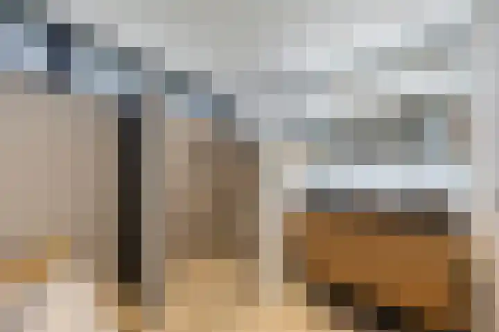 Echterstraat 34 Echt thumbnail 44