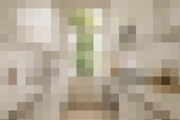 Echterstraat 34 Echt thumbnail 7