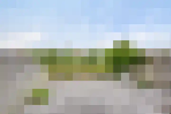 Eckhartstraat 28 Groningen thumbnail 4