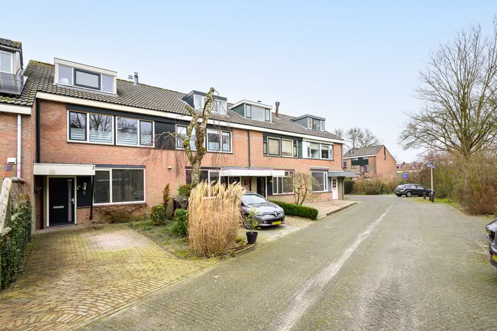 Edelhert 9 in Huizen foto