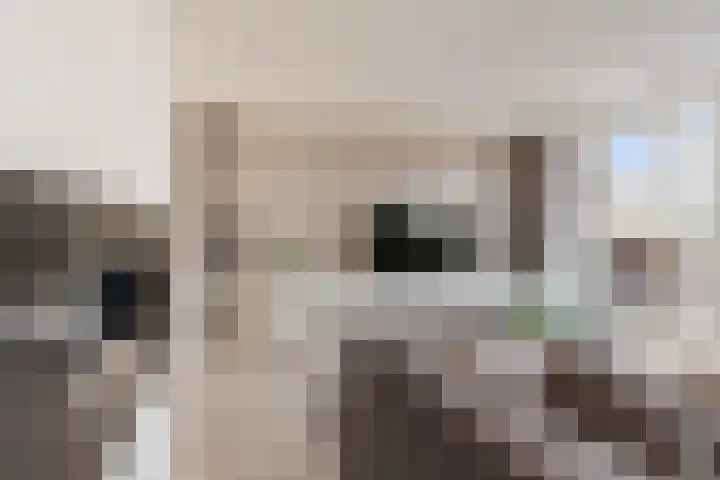 Edelsteen 56 Houten thumbnail 14