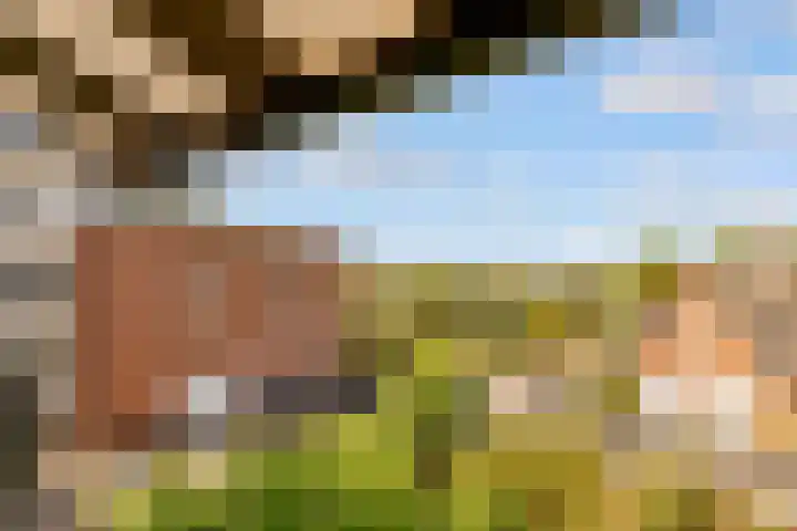 Edelsteen 56 Houten thumbnail 26