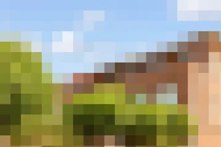 Edelsteen 56 Houten thumbnail 44