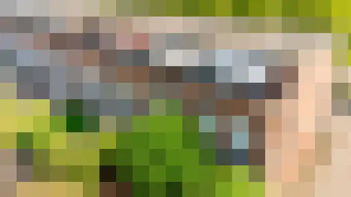 Edelsteen 56 Houten thumbnail 47