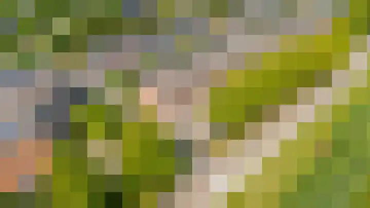 Edelsteen 56 Houten thumbnail 48