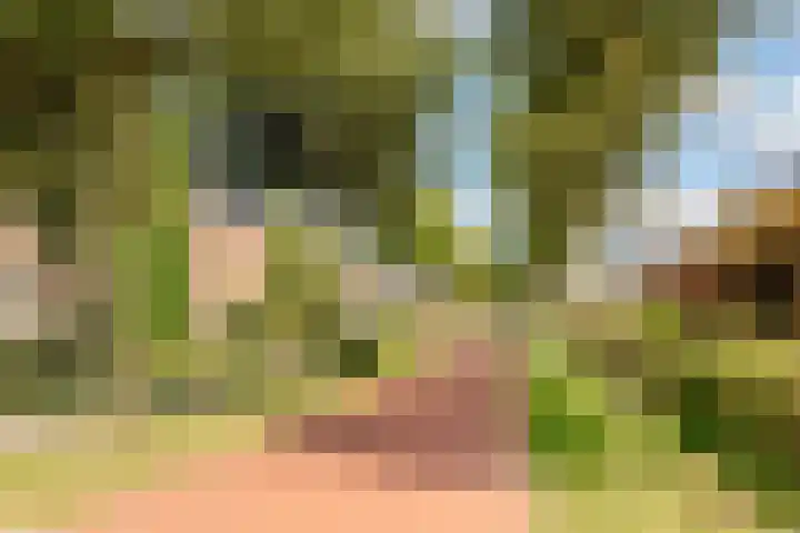 Edelsteen 56 Houten thumbnail 50