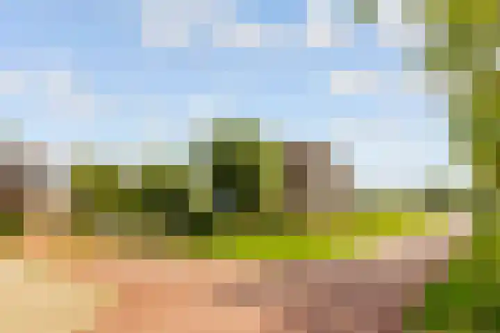 Edelsteen 56 Houten thumbnail 51