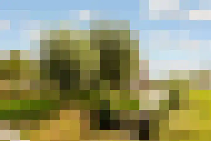 Edelsteen 56 Houten thumbnail 52