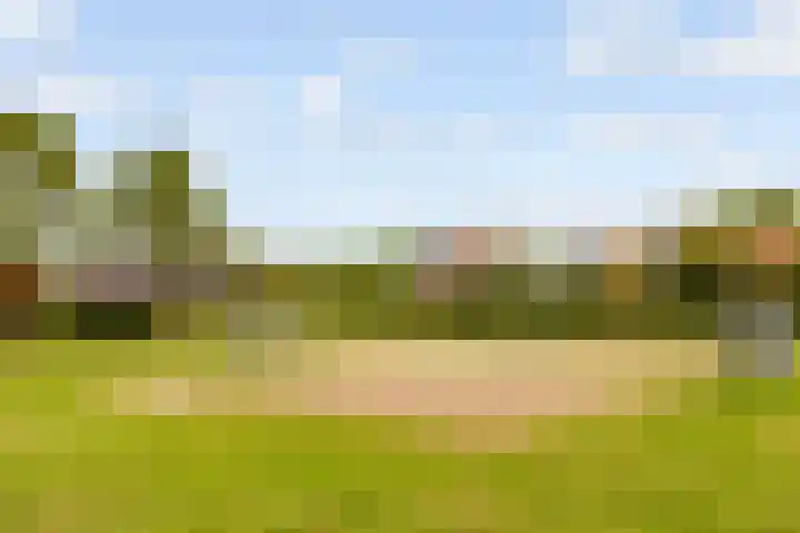 Edelsteen 56 Houten thumbnail 54