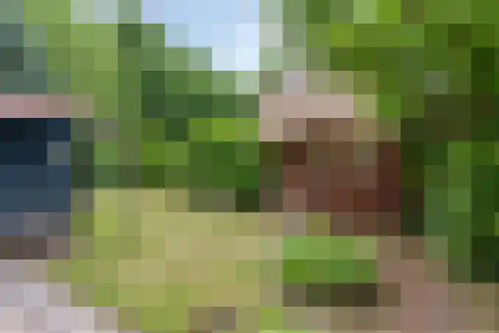 Edelsteenlaan 4 Groningen thumbnail 26