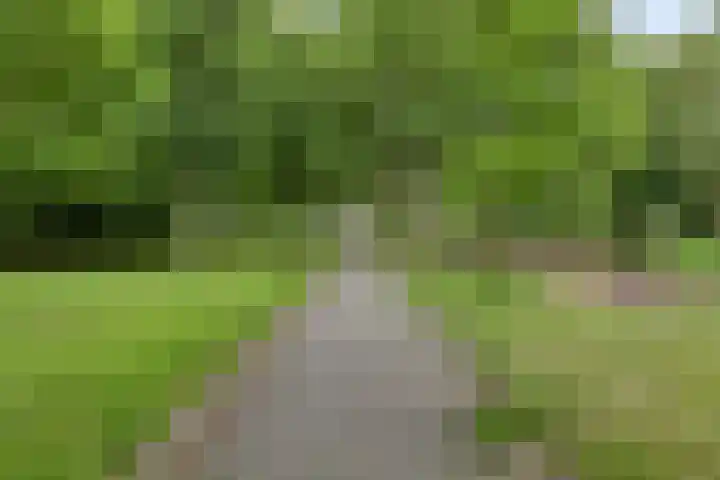 Edelsteenlaan 4 Groningen thumbnail 31