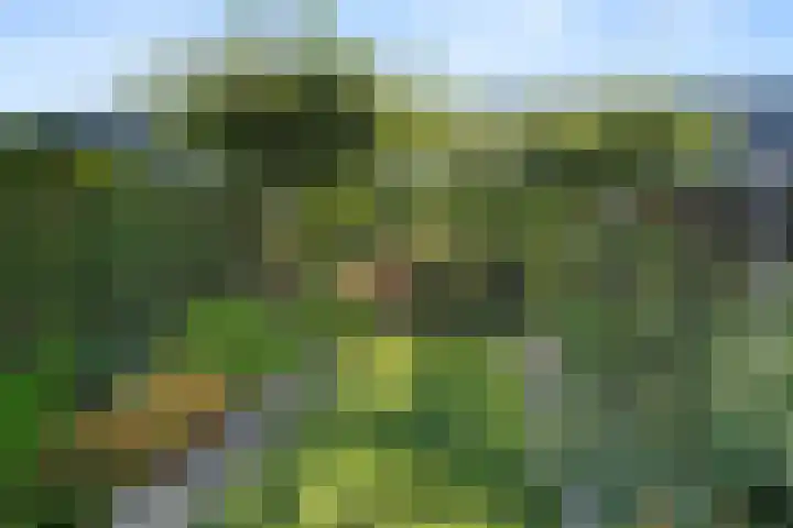 Edendreef 16 Ede thumbnail 15